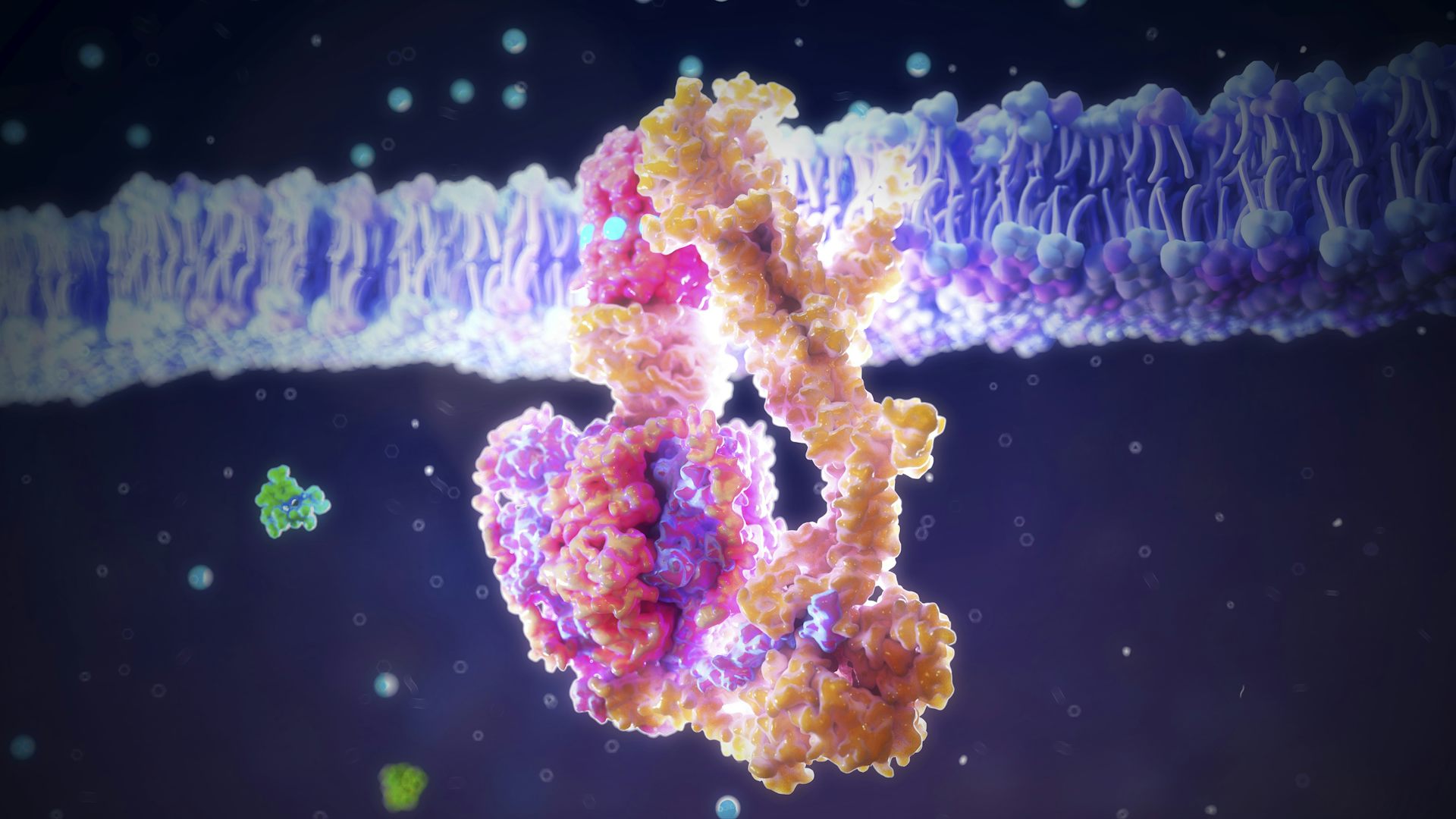 ATP synthase is an enzyme that has been using phosphate to generate life’s energy for millions of years. Nanoclustering/Science Photo Library via Getty Images