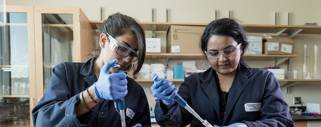 Teaching assistants preparing solutions