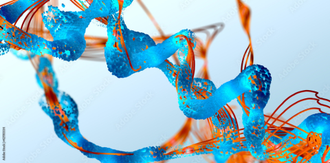 An illustration of a chain of amino acids forming a protein (Credit: Adobe Stock)